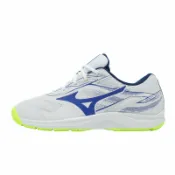 ACS跨運動 Mizuno 美津濃 網球鞋 Break Shot 5 AC 男鞋 白 藍 匹克球兼用 運動鞋 61GA2540-20