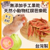 鼠鼠(台灣產/手作/無防腐劑)紅鑽芭樂乾 紅芭樂乾 水果乾 芭樂 倉鼠零食 黃金鼠零食 兔子零食 蜜袋鼯零食 龍貓零食
