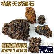 【青島水族】1G=2元 特級天然礦石 蘇拉維西石  蘇拉威西石 蘇石 造景 繁殖 躲藏 蘇蝦 水晶蝦 螯蝦 水草缸 蝦缸