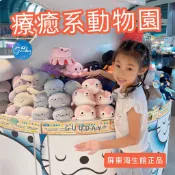 療癒 娃娃 護手墊 屏東海生館 XPARK 海生館 腕枕 滑鼠墊 護腕墊 玩偶 造型娃娃 可愛的東西 禮物 GUUDAY