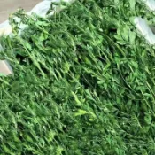 【青青草原寵物館】乾淨衛生精修處理原生牧草 已過篩提摩西一割二割苜蓿燕麥草百幕達甜小麥草 無雜質灰塵給天竺鼠寵物安心飲食