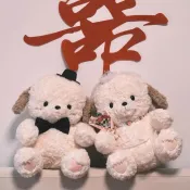✨新品熱銷✨ 婚禮小狗壓床娃娃一對婚紗可愛狗狗貓貓結婚送新人禮物新情侶公仔
