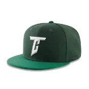 【CPBL】台灣犬 歐告 Team Taiwan 亞冠賽 墨綠/深綠 中華隊 平沿 全封帽【ANGEL NEW ERA】