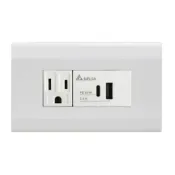 (店+)【台達電子】國際牌星光面板 60W USB雙孔充電插座 A+C PD插座 Type C插座 //白色