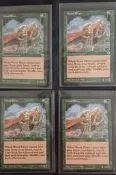 Wood Elves 林木妖精 Portal入門版英文 魔法風雲會 MAGIC MTG