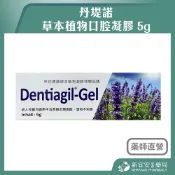丹堤諾 草本植物口腔凝膠 5g 口內膠 口內膏【新宜安中西藥局】