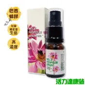 蜂王世家-高濃度40巴西綠蜂膠噴劑10ml【活力達康站】