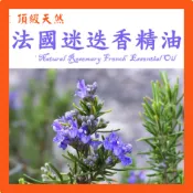 法國迷迭香精油 天然單方精油 迷迭香精油  特級天然單方精油 草本植物精油 Rosemary French
