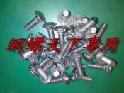 網螺天下※304不鏽鋼馬車螺絲2分半牙*1吋長5/16*1“(含螺帽)角鐵螺絲『台灣製造』4.5元/組，滿1500元免運
