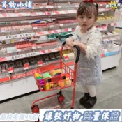 本島出貨☄ 兒童超市購物推車玩具男女孩寶寶手推車切水果蔬菜切切樂生日禮物