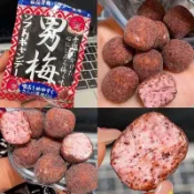 新款糖果🍬🎀日本進口NOBEL諾貝爾男梅軟糖酸梅子開胃紫蘇話梅糖網紅零食推薦
