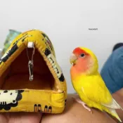 【臺灣出貨】鸚鵡棉窩保暖鳥玄鳳虎皮牡丹珍珠文鳥窩加厚加絨懸掛禦寒冬天用品