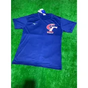 棒球世界全新MIZUNO美津濃中華隊CT圓領練習衣加油服吸汗快乾特價兩色