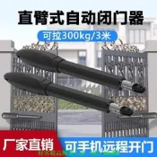 庭院大門電動開門機 直臂電機遙控自動開關門器 別墅大門馬達 單門雙門適用 手機遠端控制 台灣現貨