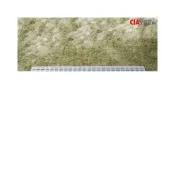(店+)寵物腳踏墊【客製專區】寵物棧板 防分趾防卡腳防潮濕 寵物踏板 寵物地墊 腳踏墊 排水板 寵物踏墊 腳踏板
