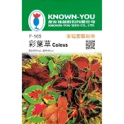 【隔日到貨】 彩葉草【花卉種子】農友牌 小包裝種子 約150粒/包