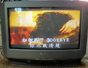 Sony KV-V20 NX2 20吋 傳統映像管 16：9  寬螢幕 電視 （14吋高）