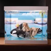 【小音國際購】【移不動】APEX-TOYS碧藍航線安克雷奇 海豚、海洋、遊泳課展示盒