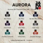 AURORA 奧羅拉 100 鋼筆墨水 瓶裝 55ml 義大利 黑 藍 紫 紅 灰 綠
