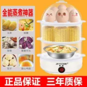 臺灣-出貨🔥正品半球自動斷電煮蛋器家用蒸蛋器小型早餐神器多功能蒸蛋羹宿舍