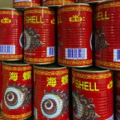【福氣南北貨】寶冠螺肉（現貨）