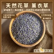 天然花草 薰衣草10克 ~可食用  | 可當獎賞點心☆瑞德寵物☆