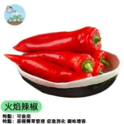 火焰辣椒種子（微辣）朝天椒種子 家用盆栽 可食用 觀賞辣椒 家庭菜園 陽台種植 自種辣椒  種植DIY
