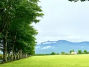 【Lion Travel 雄獅旅遊】賀歲折2000｜花東旅遊.綺麗溫泉渡假村.GAYA潮渡假酒店.龍田村.初鹿牧場火車三日 出發地點：台北