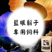🐟觀魚水族🐟 藍眼鬍子 大帆藍眼鬍子 專用飼料