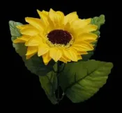 ◎花語人造花資材◎＊向日葵香皂花(帶花梗.葉片)＊太陽花~畢業禮品~精油香皂花~工商贈品~花束材料