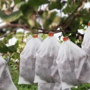 (店+)【欣榮園藝資材行】不織布果實套袋 防蟲 紗網袋 防蟲網袋 木瓜 無花果 水果 水蜜桃 芭樂 絲瓜 葡萄 芒果