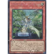 遊戲王 QCCU-JP162 芳香熾天使 歐白芷 半鑽