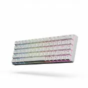 綠蠍X68 磁軸鍵盤 打瓦、Apex專用 支援瓦SOCD