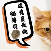 【ONHEALPET 好伴】 貓薄荷 2g 小包裝 🍃