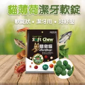 (店+)【CatGlory 驕傲貓】DC寵物現貨秒出🐾驕傲貓 貓薄荷潔牙軟錠貓草餅乾 貓咪點心 貓薄荷餅 貓潔牙 軟餅乾 寵物潔牙軟錠 貓零食 F061