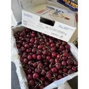 ［ME’進口優質水果］🍒產季開始🌟華盛頓·櫻桃Cherry🍒｜5公斤原裝箱｜8R、8.5R、9R、9.5R
