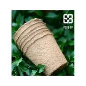 (店+)熊貓購物 紙漿育苗杯 現貨 2吋 可降解 免脫盆 友善環境 多肉盆 盆栽 觀葉 龜背芋 彩葉芋 種子 育苗
