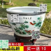 景德鎮陶瓷魚缸養金魚缸睡蓮盆荷花缸碗蓮缸烏龜大水缸盆客廳擺