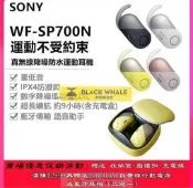 臺灣公司 可開發票 Sony WF-SP700N 藍牙耳機 智慧觸控 降噪防水 sony 耳機 無線藍牙 入耳式 運動藍