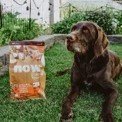 【狗主食】now 鮮肉無穀 中型老犬天然糧 狗飼料