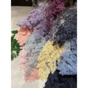 #JM花草夢 進口不凋蓬萊松/洋紅色/粉/粉紫/紫/霧紫/豆黃色/牙白/綠6色乾燥花/不凋/永生花