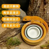 爬寵專用✨  陶瓷爬寵防逃逸食盆鬃獅守宮蜘蛛爬蟲活體飼料麵包蟲大麥蟲防逃脫