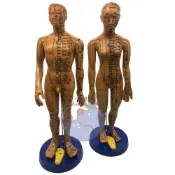 (店+) 中醫針灸穴位圖 人體模型 銅人男女 全身十二經絡小皮人 針灸穴位模型