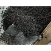 ［農莊園藝］BVB白泥炭土(添加了少許白沙) 排水性好 培養土 室內土 1L 香草植物專用土