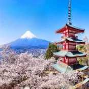 【喜鴻假期】★高雄出發．東京追櫻趣６日★螃蟹吃到飽、敘敘苑、迪士尼、富士山、箱根海盜船、溫泉