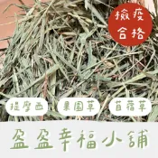 豬寶窩窩｜正品現貨速出✨盈盈幸福小舖 已過篩提摩西牧草、苜蓿草 500g / 1kg ｜天竺鼠、兔子、龍貓牧草主食、挑食