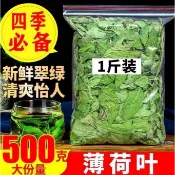 【新貨】薄荷葉薄荷葉茶幹薄荷葉薄荷葉新鮮食用新鮮清涼薄荷葉泡茶薄荷水