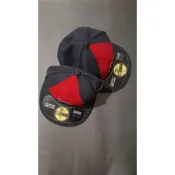 MLB 美國職棒 紅襪隊 NEW ERA 全封帽 2014 明星賽紀念帽