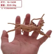 爬寵攀爬✨ 寄居蟹攀爬沉木杜鵑根南美原生溪流莫斯樹樁水草爬寵躲避洞穴裝飾 爬蟲攀爬用品 爬蟲攀爬架 飼養箱攀爬裝飾