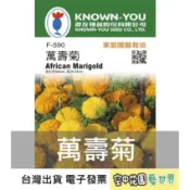 【台灣出貨 電子發票】萬壽菊 種子 60粒 花卉 家庭園藝 農友 空中花園藝世界 F-590